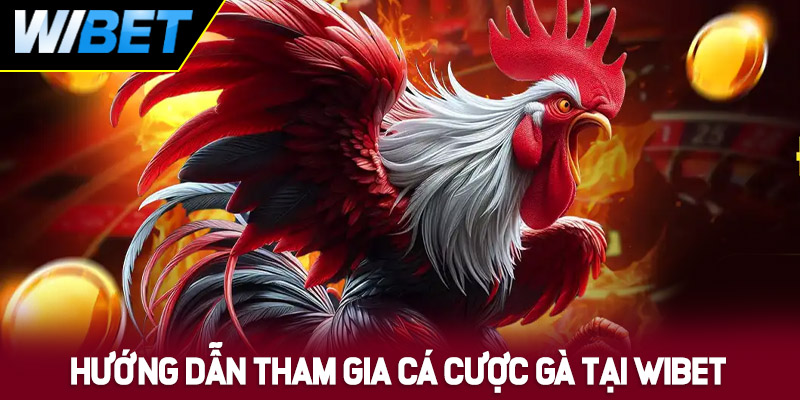Hướng dẫn chi tiết cách tham gia cá cược đá gà WIBET