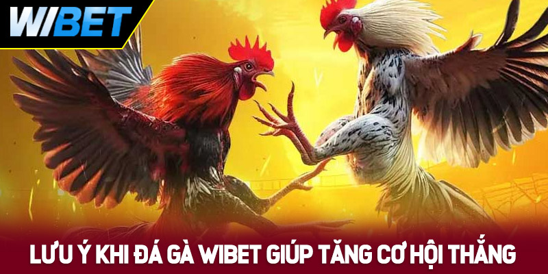 Những lưu ý khi đá gà WIBET giúp tăng cơ hội thắng lớn